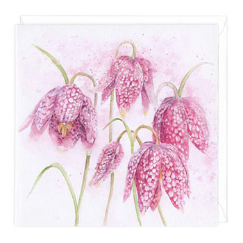 Card Snakes Head Fritillary